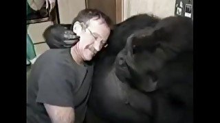 ATTENTION PORNHUB: KOKO THE GORILLA HAS DIED. This is a tribute video.
