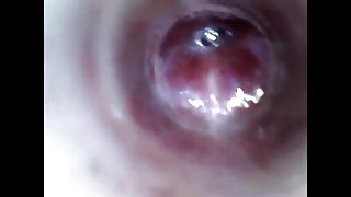look inside cock endoscope with tube introducing cam deep