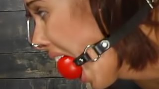A Gag Ball and a Vibrating Dildo Abusing a Brunette In BDSM Vid